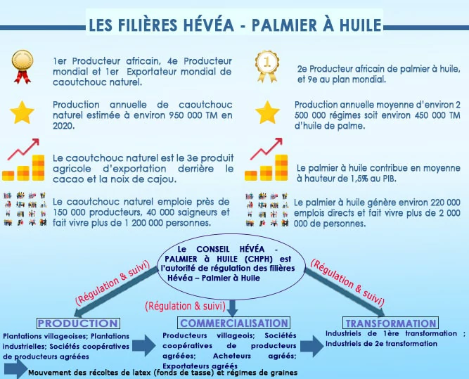 Organisation des filières hévéa palmier à huile en Côtes d'Ivoire