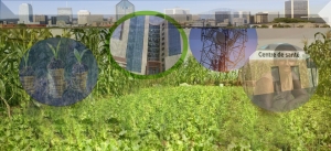 Les problèmes sociaux dans l’agriculture ivoirienne