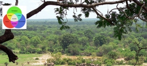 Agriculture durable en Côte d'Ivoire